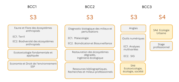 Description de la 2ème année du parcours ECORMID par semestre et par BCC
