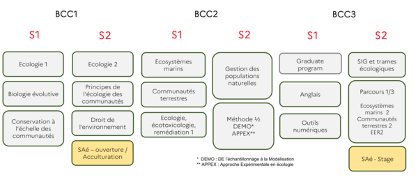 Descriptif des UEs constitutifs du master BEE par semestre et par BCC